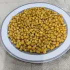 بذور شجر النبع
