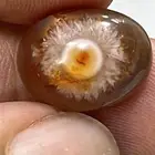 نوادر العقيق سليماني هندي