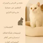 فندقة قطط منزلية