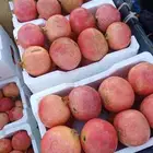 رمان متوفر كميات