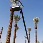 صيانه لنخل وتنزيل اتمور
