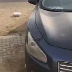 مكسيما 2010 للبيع