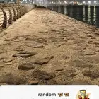 حساب سناب للبيع عدد المتابعين 11400