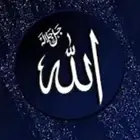 رقم مميز stc