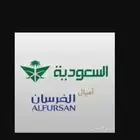 حجز تذاكر باستخدام الأميال بسعر منافس