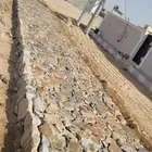 2025 رقم التلفون
