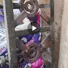 للبيع شوله 2 عين لاتشكو من اي شي