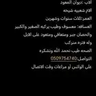 حصان عربي شعبي