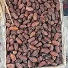 تمر خضري للبيع حوالي 1800 كرتون موز الوزن مابين 20 و 21