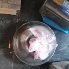 جربوكس فورد تورس 6 سلندر