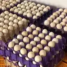 بيض دجاج بلدي