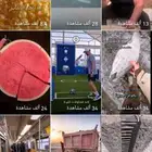 قناة يوتيوب