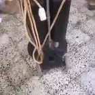 مكينته سجاد