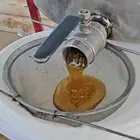 عسل قرع انتاجي طبيعي 100 بيع بالجملة