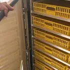 فقاسه جديده استخدام مره واحده للبيع