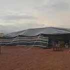 بيت شعر 13 7 صناعة يدوية بيت شعر 5 9