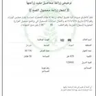 قمح رخصه قمح