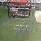ماطور_كهرباءد بنزين   7 كيلو نص سوتش هندل