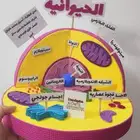 مجسمات مدرسيه