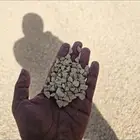 النرجس حديقه الملك عبدالعزيز