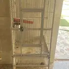 اقفاص طيور الكاسكو