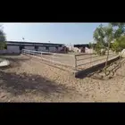 مربط السامر