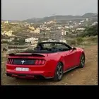 موستنج موستنق كشف 2015