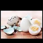 بيض سمان انتاج يومي ولله الحمد