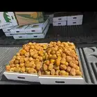 تمر سكري ملكي فاخر