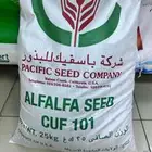 بذر برسيم تاريخ جديد 2027