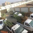 يوجد لدينا فسايل نخيل جميع الأنواع متوفرة   أحجام مختلفة