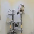 خداشة جديدة غير مستخدمة  القط ما جلس فيها  تنفع لأكثر من قط