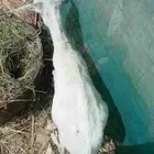 جفره للبيع