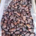 الف كرتون تمر خضري