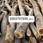 حطب افريقي سمر