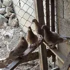 حمام تركي