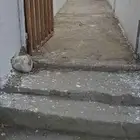 للايجار سكن للشركات و الموسسات