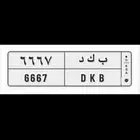 لوحه مميزه للبيع