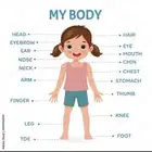 معلمه لغه انجليزيه اون لاين للمناهج السعودية