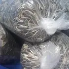 للبيع حب شمسي شغل بيت نظيف