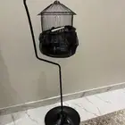 قفص عصافير