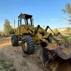 القصيم بريده