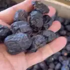 عجوة كمية 7طن