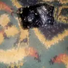 حجر نيزك نادر لا توجد في الا في اليمن