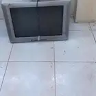 تلفزيون .