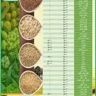 بذور انواع الخضار الموسمية