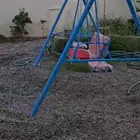 انجيله ومرجيحه كلهاجديده للبيع