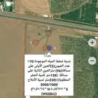 كشف مياه آبار ارتوازية عبر قمر الصطناعي