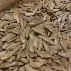 عود موروكي محسن فاخر روعة