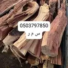 حطب زيتون